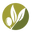 Olive Truck, California's Most Awarded Olive Oils logo